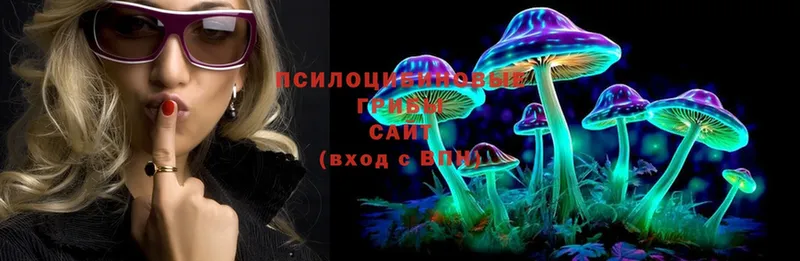 где можно купить   Зуевка  мега ONION  Псилоцибиновые грибы Magic Shrooms 